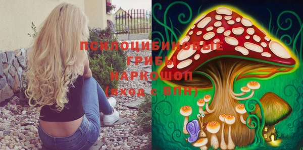 прущий лед Бронницы