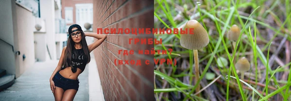 прущий лед Бронницы