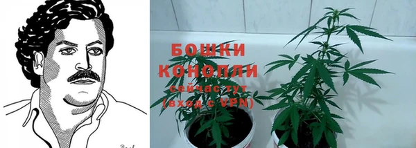 МДМА Бородино