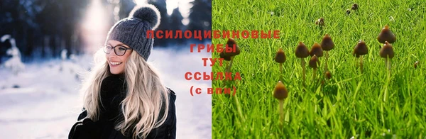 МДМА Бородино