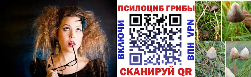 Галлюциногенные грибы прущие грибы  Купить  Устюжна 