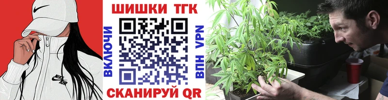 Купить где  Устюжна  Шишки марихуана Amnesia 